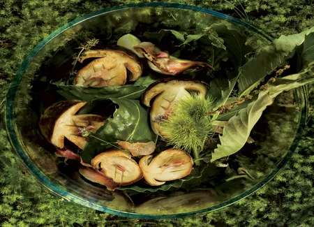 Cèpes en feuille de châtaignier
