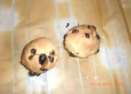 Rochers aux raisins