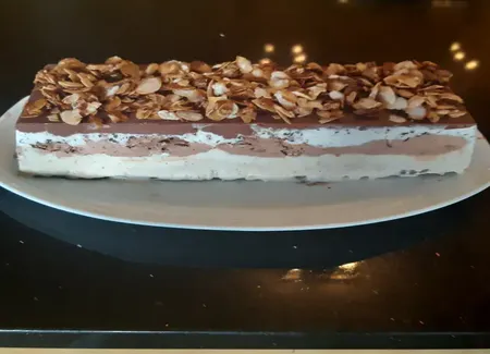 Bûche de noël glacée