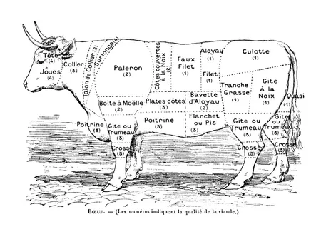 Boeuf : quel morceau choisir ?