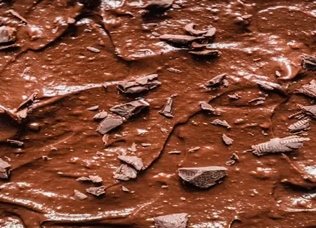 Brownie aux haricots rouges et beurre d'amande