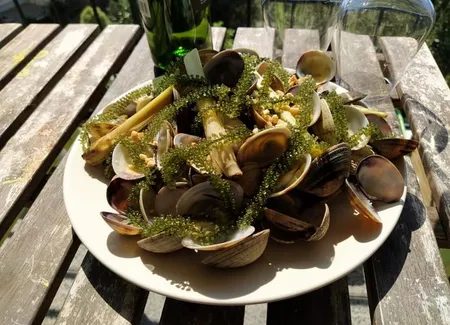 Clams au caviar végétal
