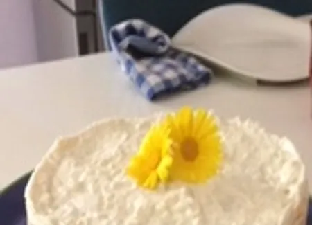 Gâteau à la mousse d'abricots et bavarois au lait d'amande