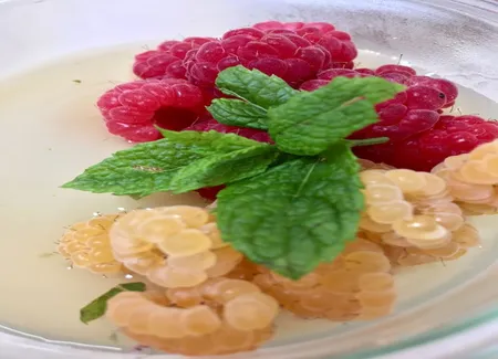 Panacotta vegan au coulis menthe-citron