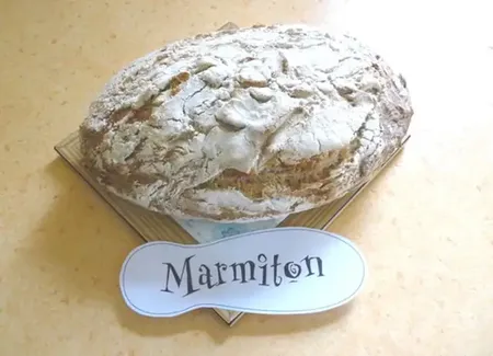 Pain bio au levain (avec levain en poudre)