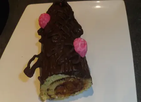 Bûche chocolat praliné oranges poêlées