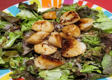 Salade de saint-jacques sur lit de lentilles
