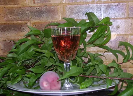 Vin de pêche