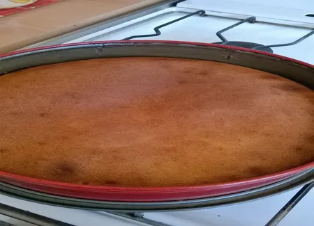 Gâteau nature sans huile ni beurre