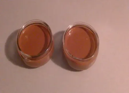 Crème dessert façon danette au nutella
