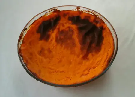 Flan de courges
