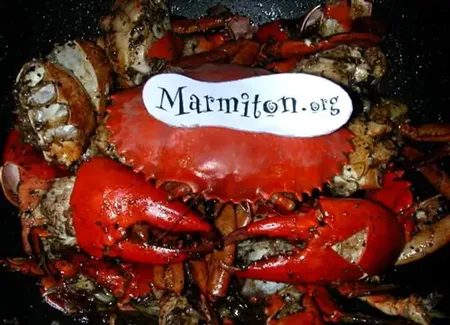 Black pepper crab (spécialité de singapour)