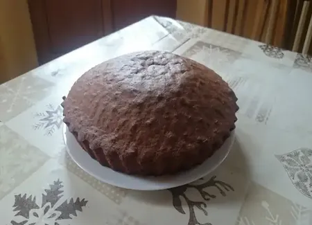 Gâteau au cacao facile