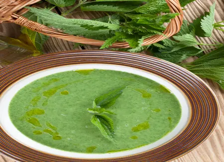 Soupe d'orties