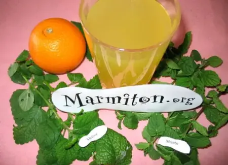 Boisson miraculeuse d'elvire à la mélisse