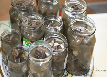 Conserves d'escargots