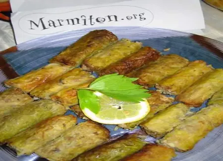 Rouleaux de chou à l'orientale de nadine (4ème rencontre marmiton)