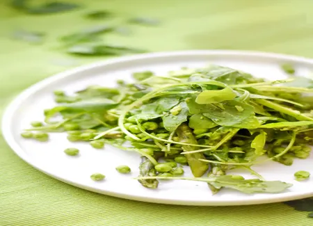 Salade toute verte du printemps