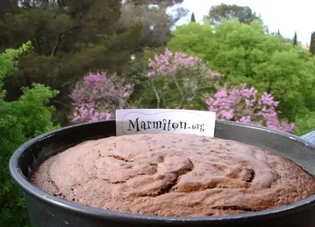 Gâteau moelleux chocolat noisettes