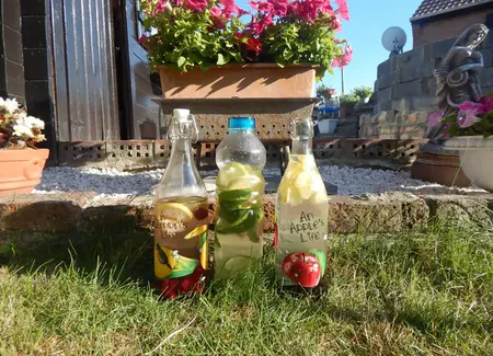 Boisson rafraîchissante aux agrumes et framboises