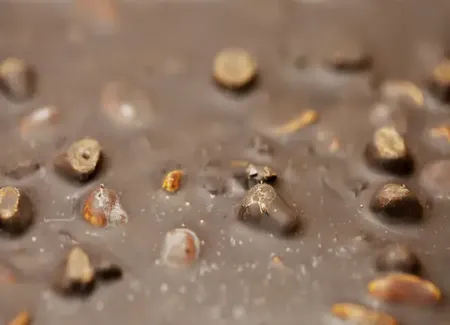 Carrés au chocolat et raisins secs