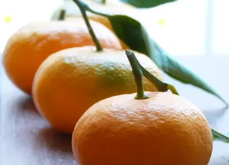 Confiture de clémentines à la musquée de provence