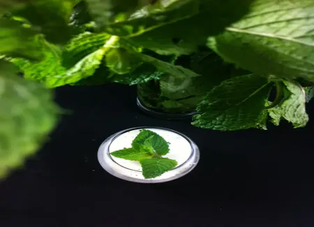 Lassi à la menthe