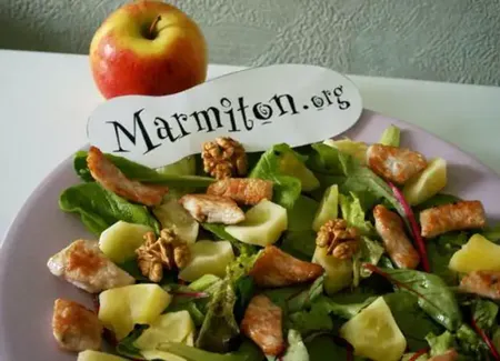 Salade sucrée salée pomme poulet