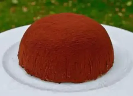 Bombe glacée au chocolat.