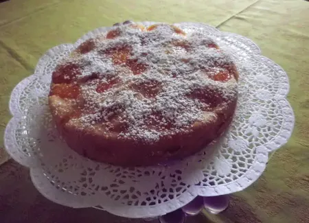Moelleux aux abricots
