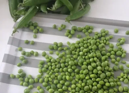 Cocotte de petits pois alsacienne
