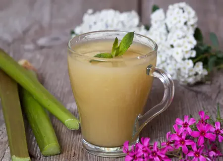 Compote de rhubarbe à la menthe et au gingembre