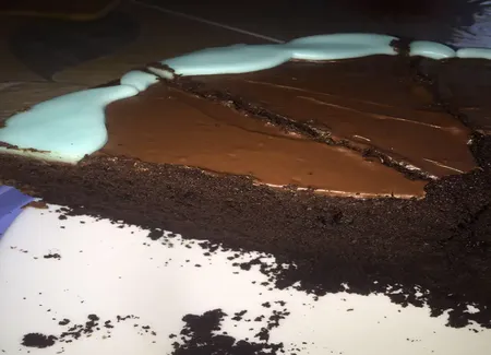 Gâteau au chocolat et noisettes en poudre