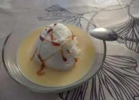 Ile flottante