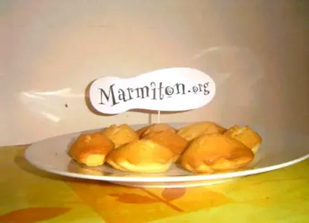 Madeleines