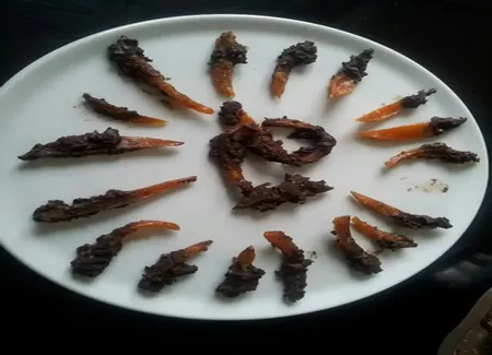 Ecorces d'oranges confites au chocolat