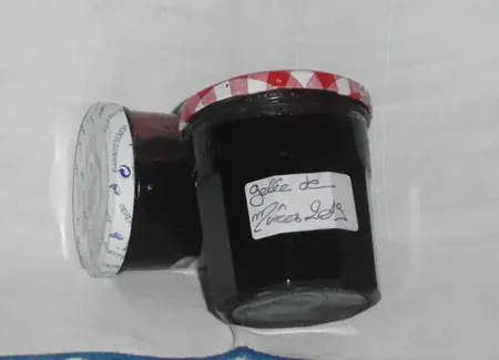 Gelée de mûres sauvages