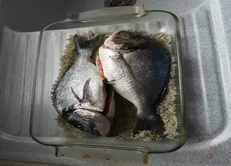 Dorade en croûte de sel