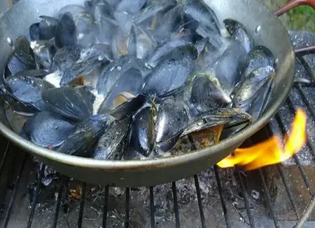Sauce pour brasucade