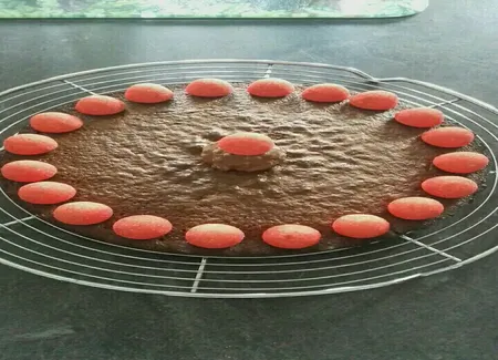 Le moelleux aux 2 chocolats !!!
