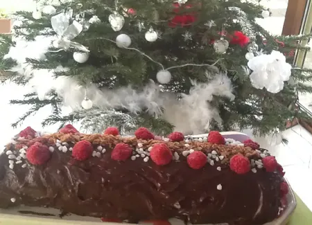 Gâteau roulé chocolat-framboise