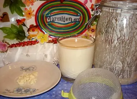 Kéfir de lait de ma grand-mère