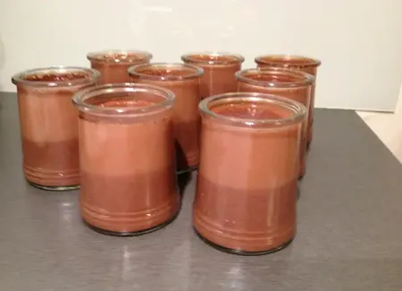 Panccotta au chocolat et lait de soja