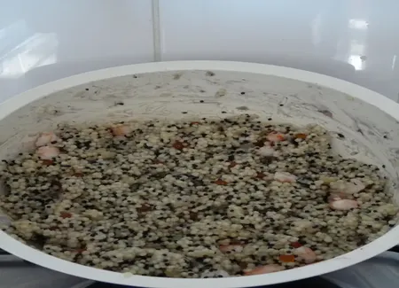 Salade de perles aux oeufs marins