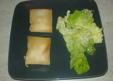 Bricks de magret de canard aux champignons
