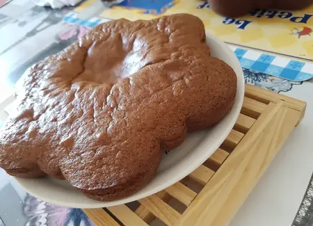 Gâteau cacao rapide