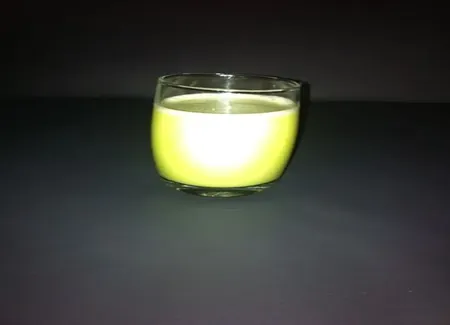 Lait d'avocat