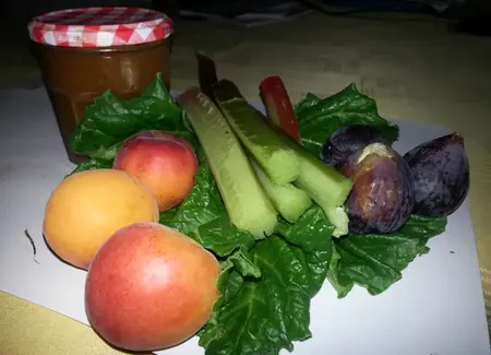 Confiture figues abricot rhubarbe