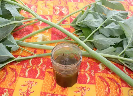 Confiture rhubarbe & angélique