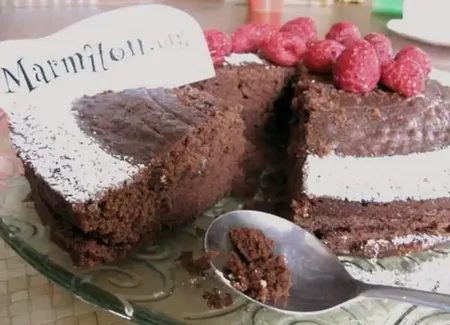 Bon gros gâteau au chocolat (micro-ondes)